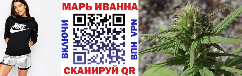omg как зайти  Малая Вишера  Шишки марихуана Amnesia 
